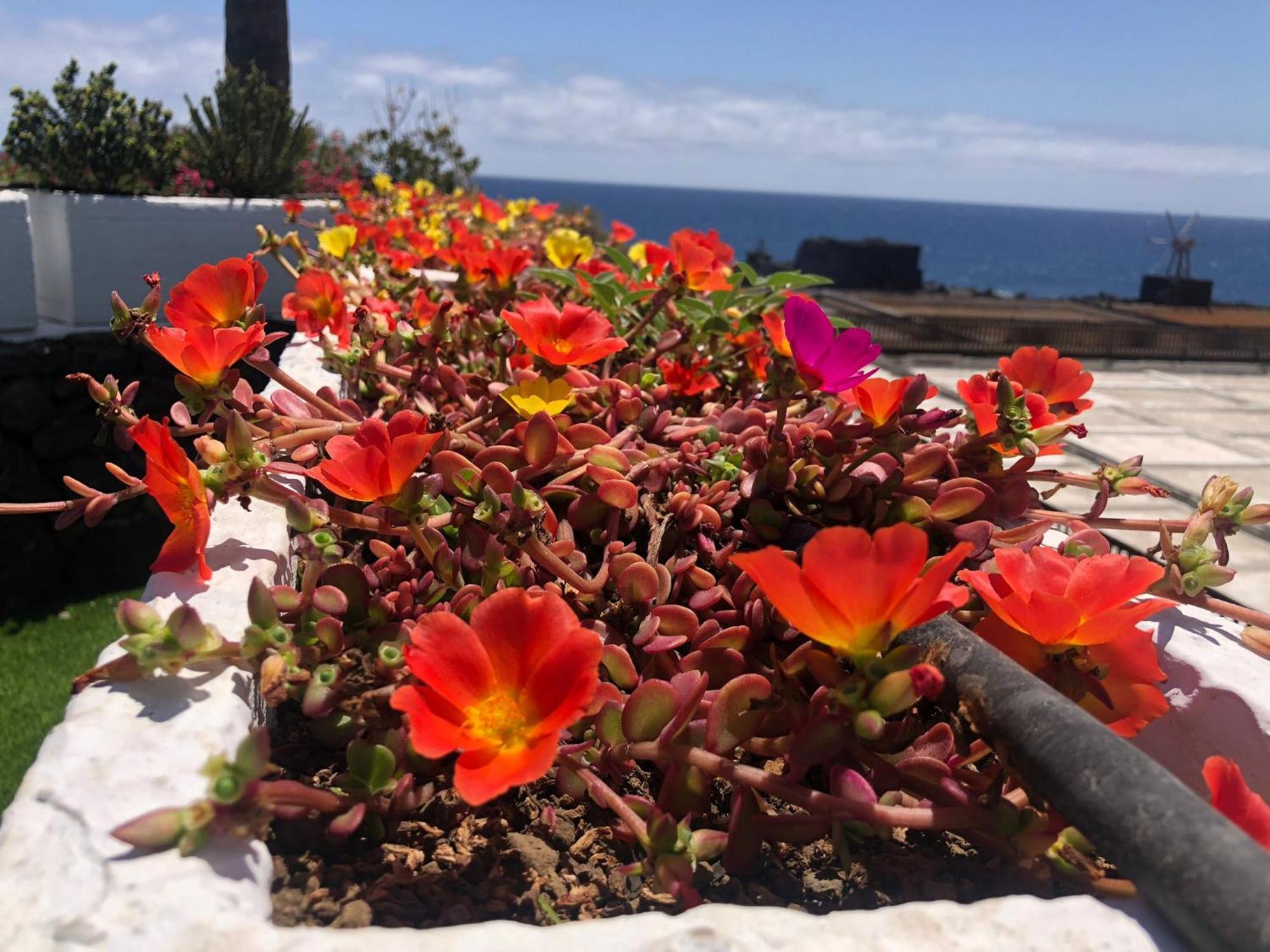Vivienda Vacacional Sal Y Mar Playa Cancajos.- BreNa Baja  Esterno foto
